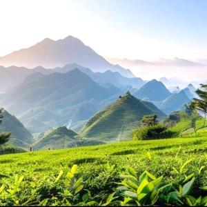 茗然mr头像