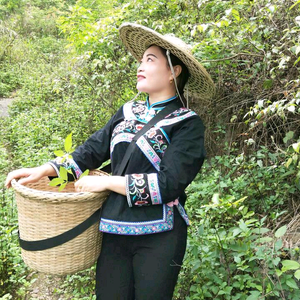 镇南姐.中草药头像