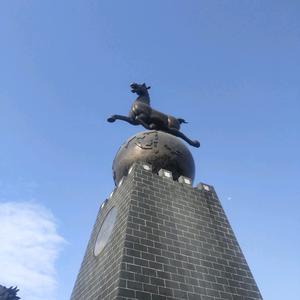 平凡行天下头像