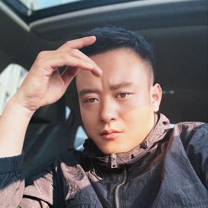白鸽头像