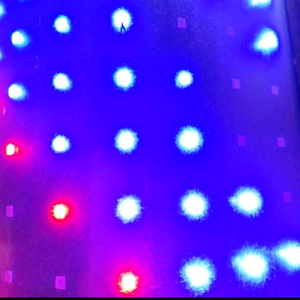 一心一意与你风雨同舟头像
