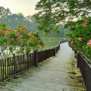 点滴姐头像