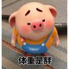 胖tiger哥头像