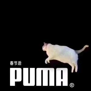 羊毛猎豹头像