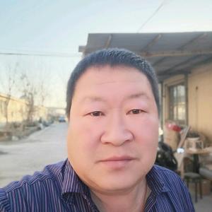 老秦爱分享头像