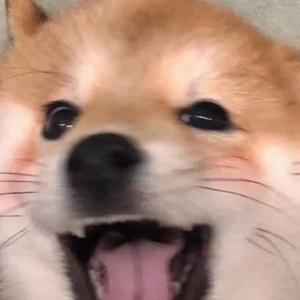晓风头像