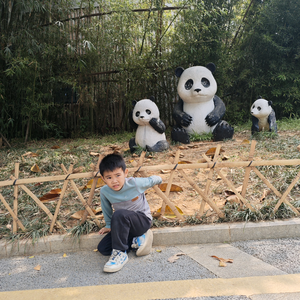 小米蟲头像