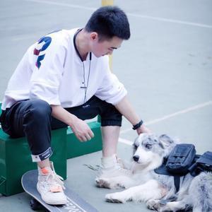 行叔的狗子们头像