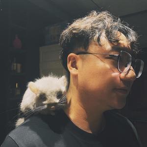 Ai训练师大宇 头像