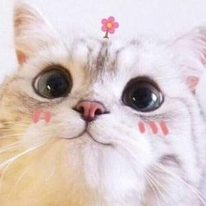 已换名头像