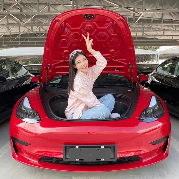 特可爱的特斯拉头像
