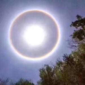 老司机波哥头像