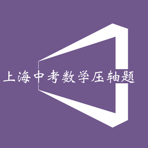 上海中考数学压轴题头像