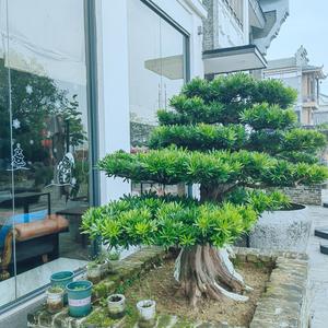 容州零食特产店头像