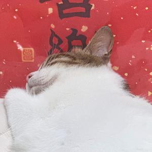 ONEVA头像