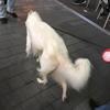 睿智高碑店7Z7头像