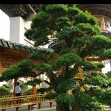 宏兴车行配件部头像