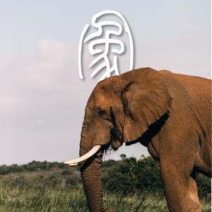杭州大象画室头像