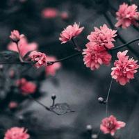 MMC快乐生活头像