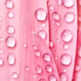 细腻黄骅1t5头像