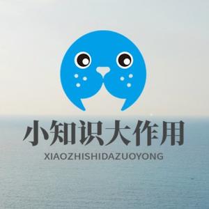 小知识大作用头像