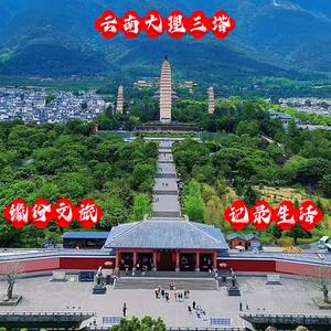 缘份文旅头像