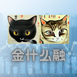 金什么融FinTalk头像