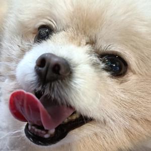 豆豆要存钱头像
