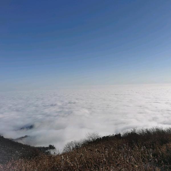 用户2897415623002头像