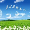 肖哥的春天头像