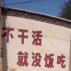 游乐场巴彦淖尔0头像