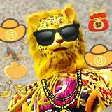 一金钱豹头像