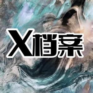 x档案x头像