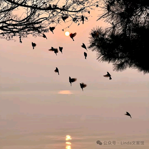 远山头像