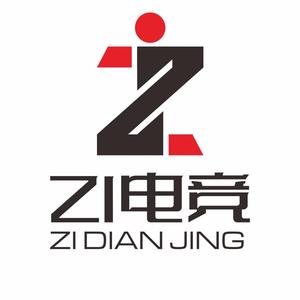 Zi电竞无畏契约头像