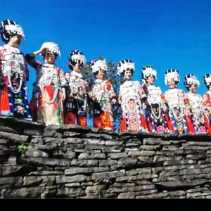 苗岭风影头像