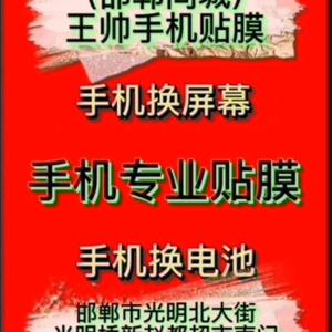 王帅手机贴膜头像