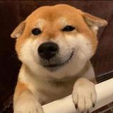 小鱼干不下饭呀头像