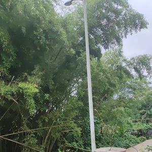 清风徐来1409头像