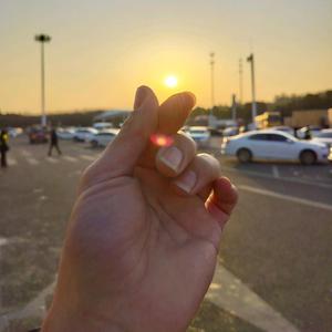 王星辰头像
