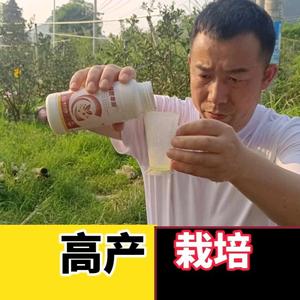 棚架作物高产蒋谈头像