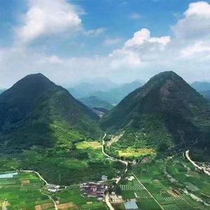 幸福有点甜：陈有财头像