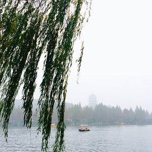 柳湖泛舟头像