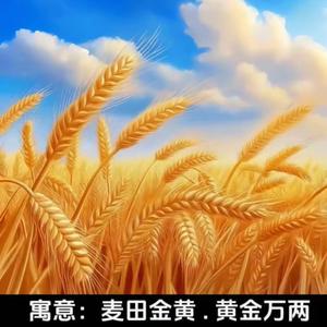 成都家政人头像