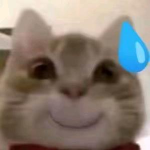 清风欲飞头像