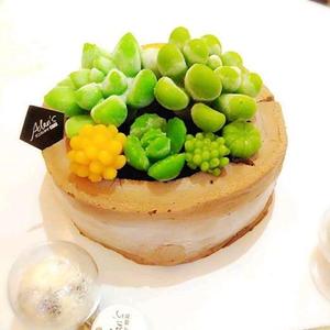 柚哥烘焙头像