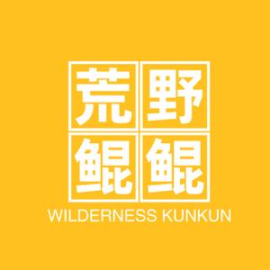鲲哥建造头像