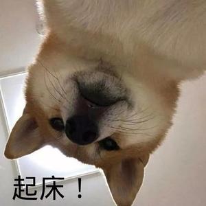 豆豆豆的糖头像