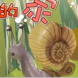 随风逐梦88头像