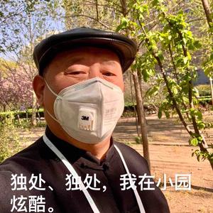 孟达野头像